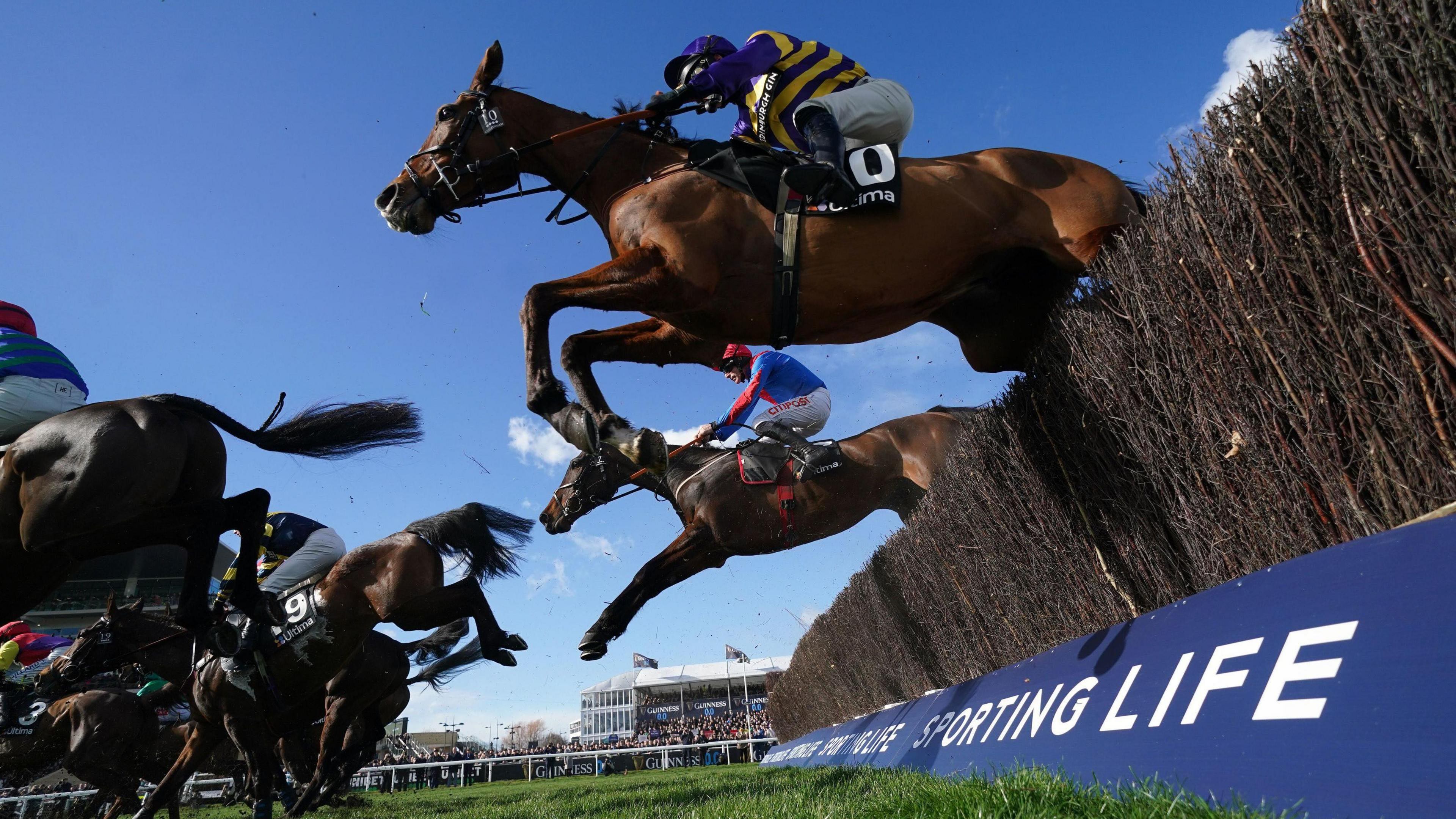 Saturday Racing Tips - October 25th, 2025: Smart Picks + Cheltenham Deep Dive
