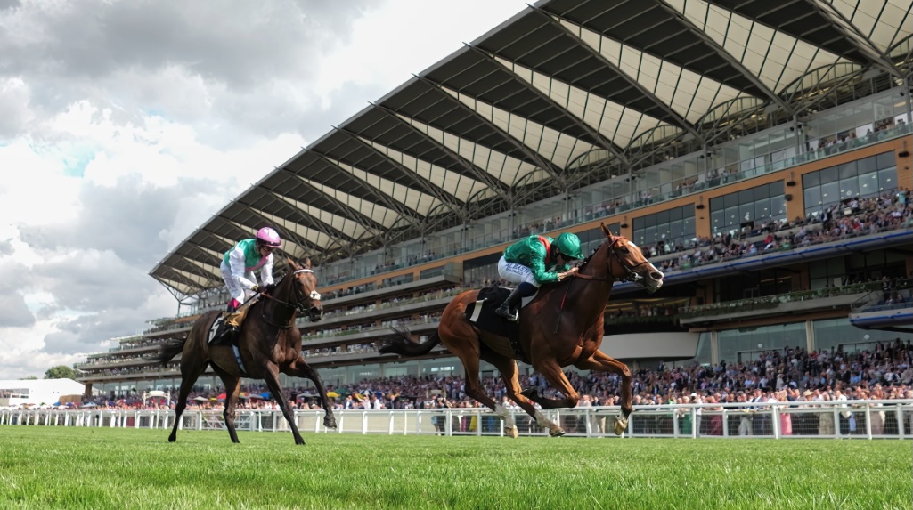 QIPCO's £4.5 Million Day: Racing's Richest Afternoon - Complete Guide